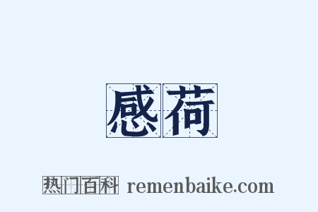 感荷是什么意思的图片